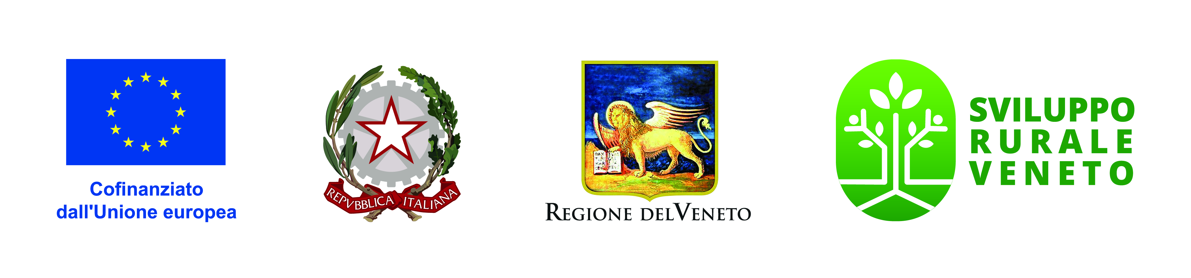 Grande successo per il Comune di Bagnolo di Po che ha ottenuto l’approvazione e il finanziamento di un importante progetto dedicato al sostegno delle persone anziane e con disabilità del territorio.